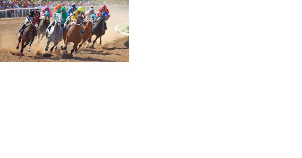 Horse racing begins at Rillito Racetrack - Vimarsana News