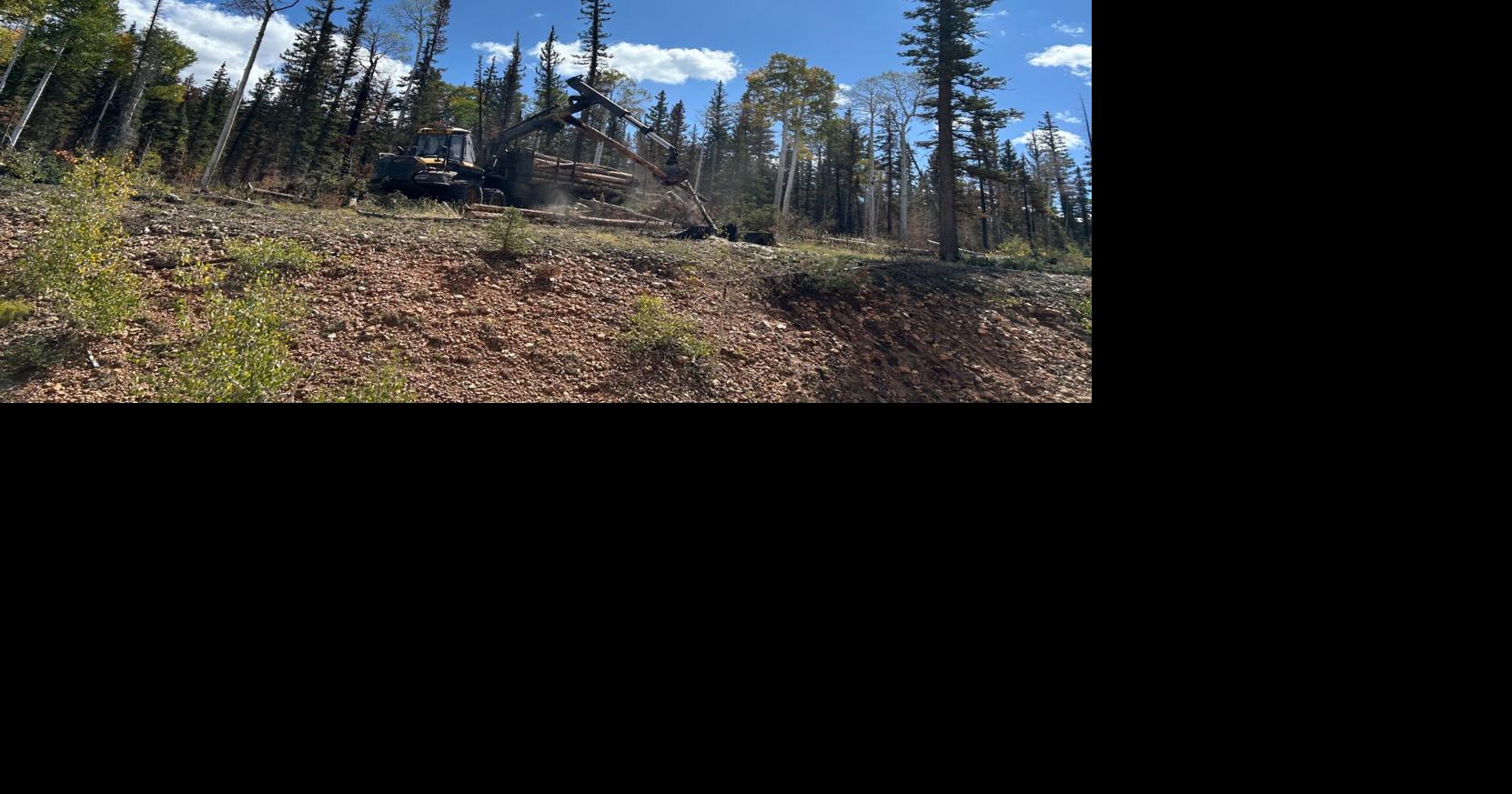 Containment of Dragon Bravo Fire grows to 94 percent | Arizona News ...