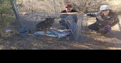 Mor'du the dog is found by trackers - Vimarsana News