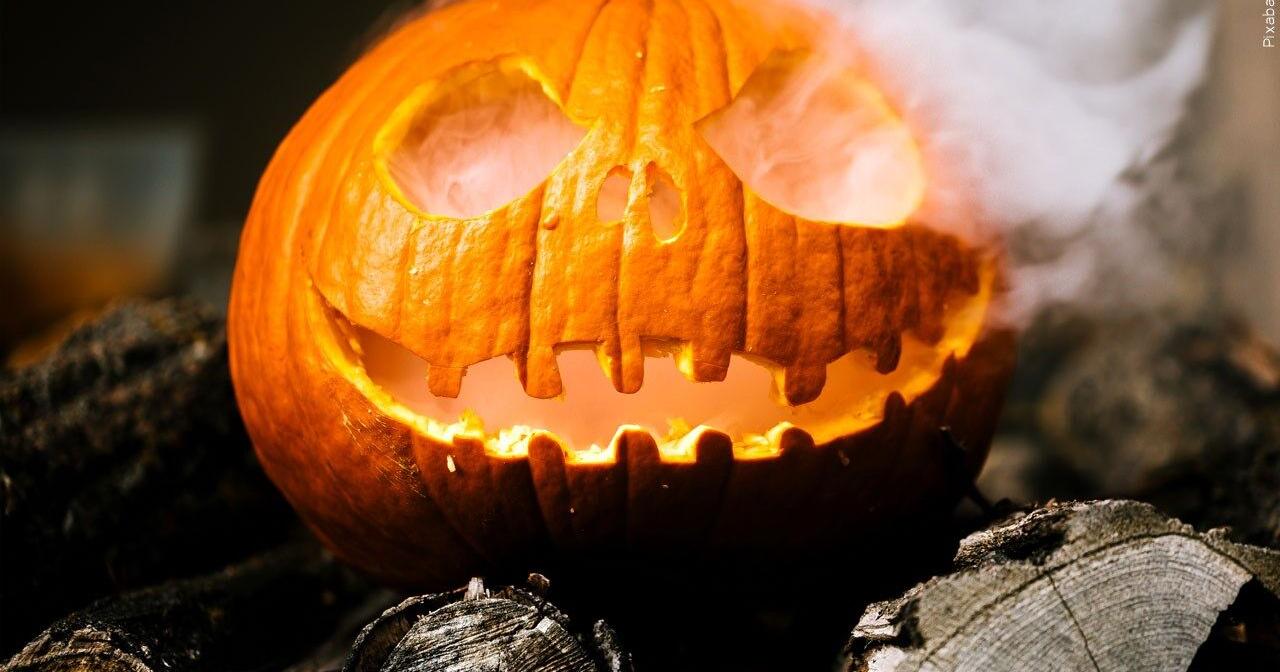 Halloween events happening in southern Arizona - Vimarsana News