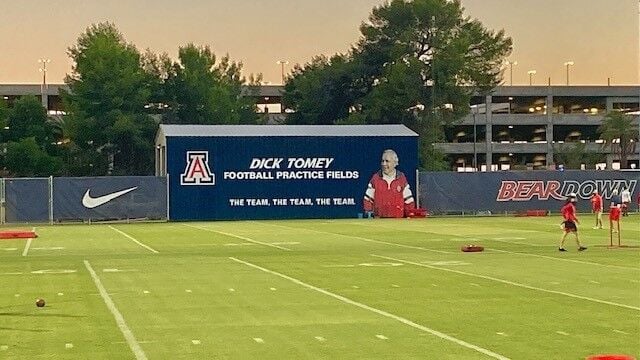 Tedy Bruschi  Arizona Alumni