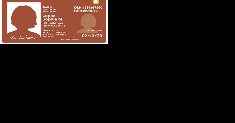 Government extends Travel ID deadline to 2025 - Vimarsana News