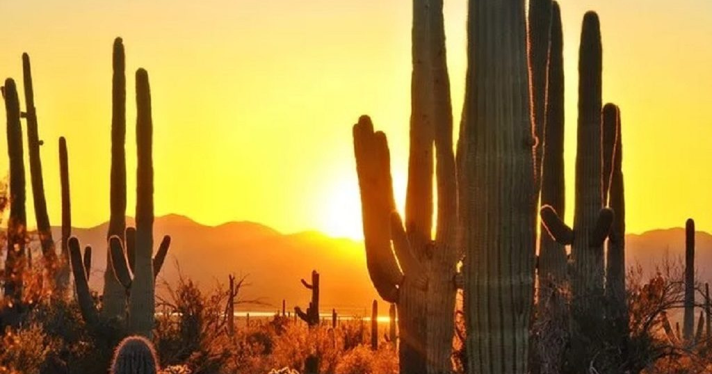 It's official! Tucson International Airport hits its 1st 100-degree day of 2024 - Vimarsana News