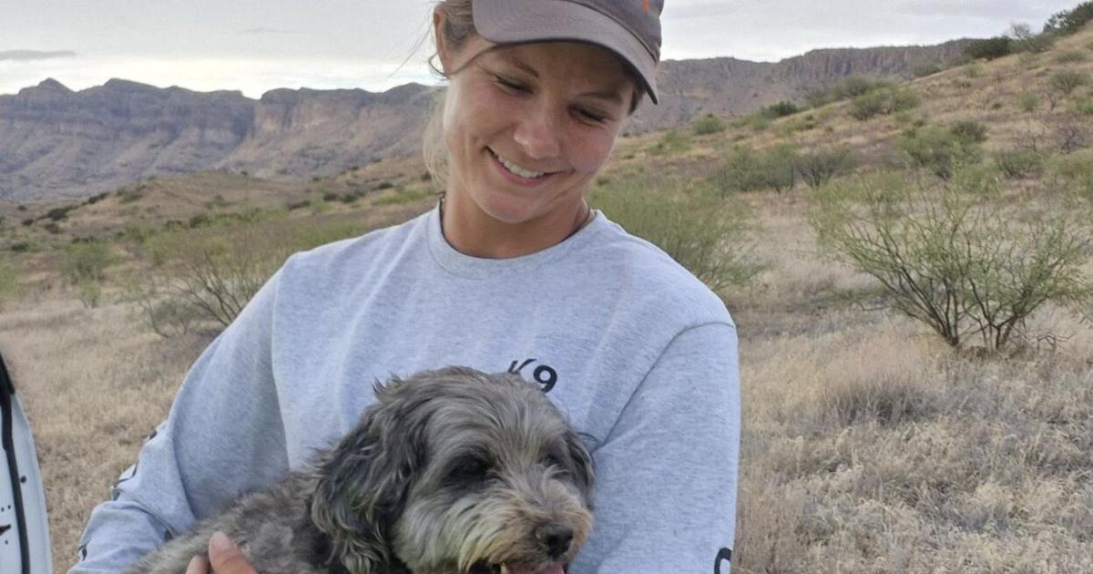 Arizona Rescue Saves Dog Beside Deceased Owner in Remote Wilderness