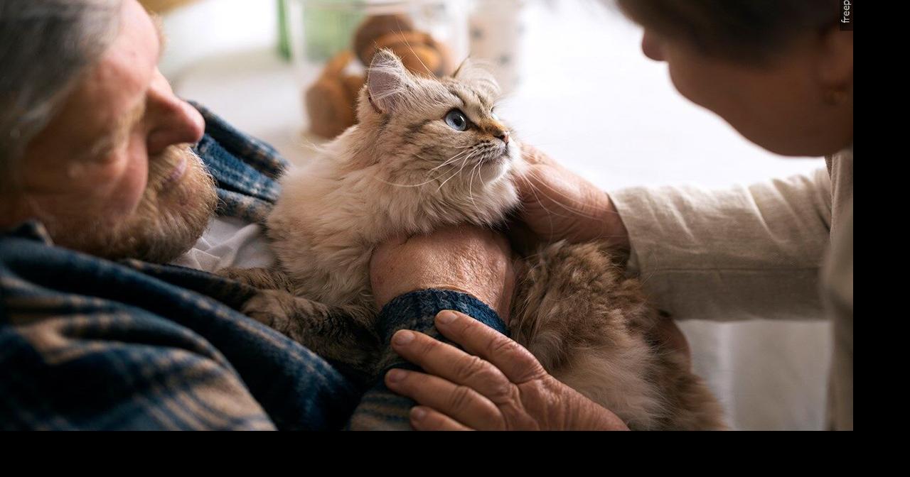 U of A tool may explain why pets boost some owners' well-being