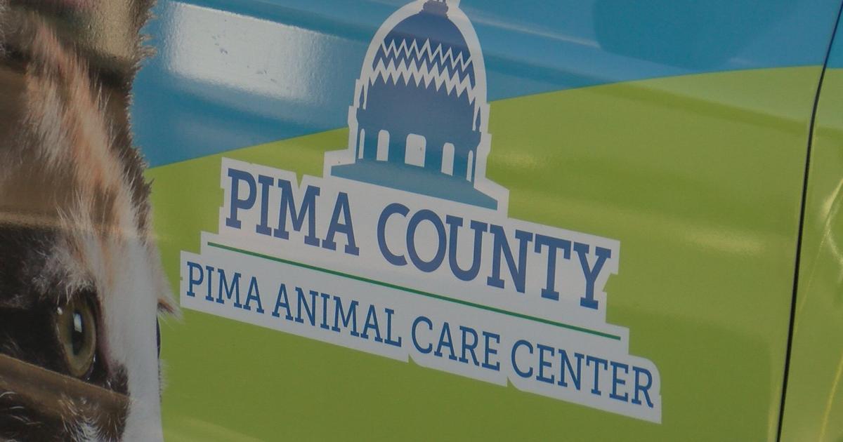 Pima Animal Care Center offers free customized pet ID tags | Local