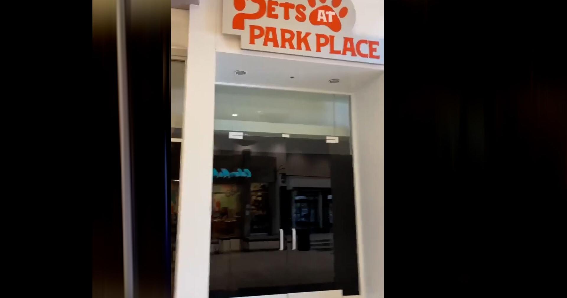 N4T Investigators: Pets at Park Place has closed its doors - Vimarsana News