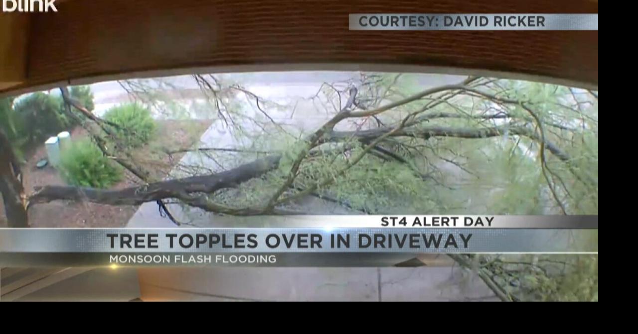 Tucson storm snaps tree, floods Alamo Wash near Broadway