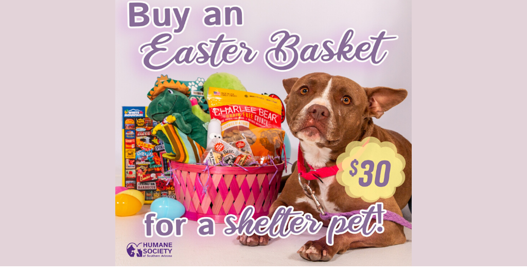 HSSA delivering Easter baskets for Tucson pets Local