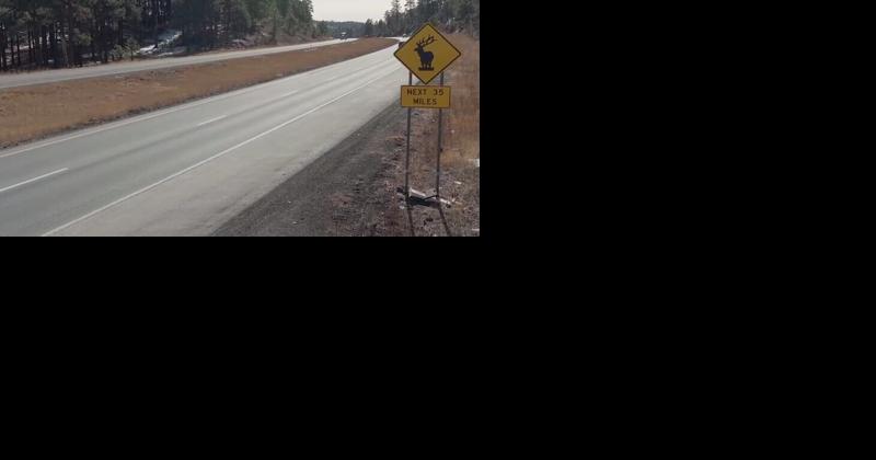 Federal grant will fund I-17 wildlife overpass near Flagstaff - Vimarsana News