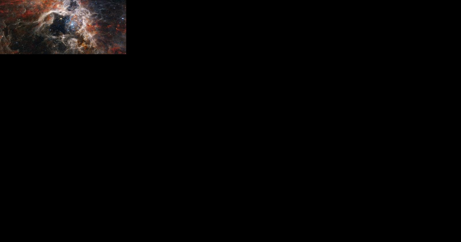 Visit the Oracle State Park Stargazing event this weekend - Vimarsana News