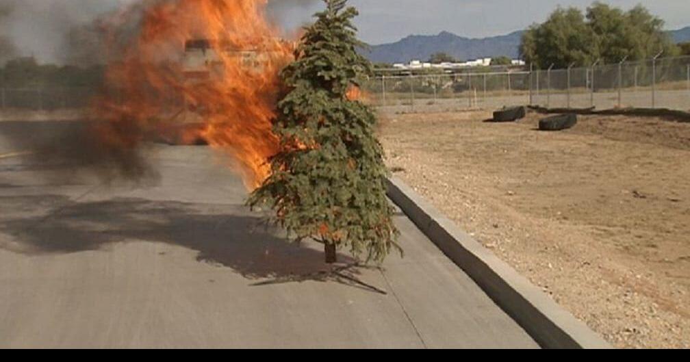 Dry Christmas trees cause fire concerns Local