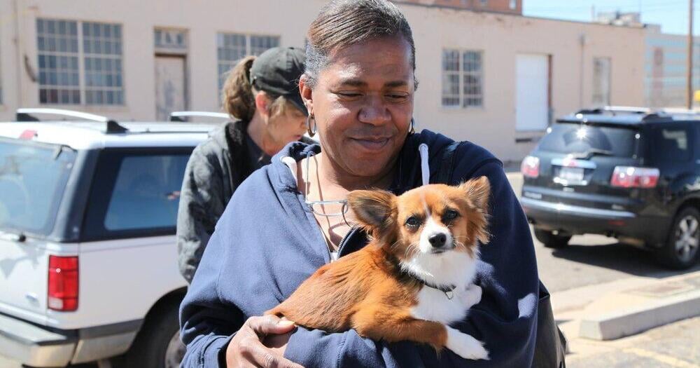 Street Dog Coalition offers free vet services this weekend to pets of people experiencing homelessness - Vimarsana News