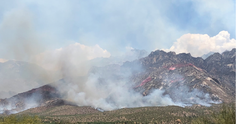 CLIMATE MATTERS: Pima County wildfire plan hits major milestone after year one