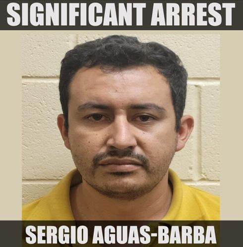 Douglas Border Patrol Agents Arrest Sex Offender News 