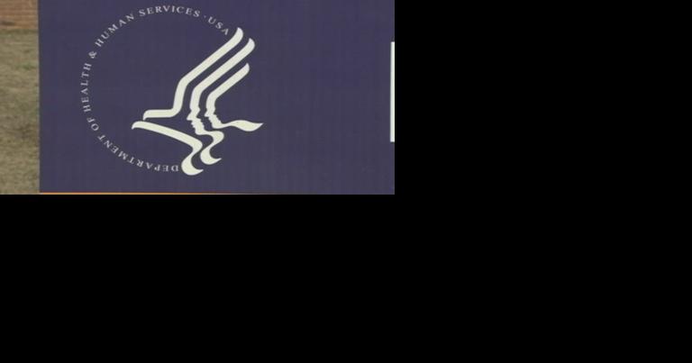 FDA says need multiple at-home test results to verify COVID-19 status - Vimarsana News