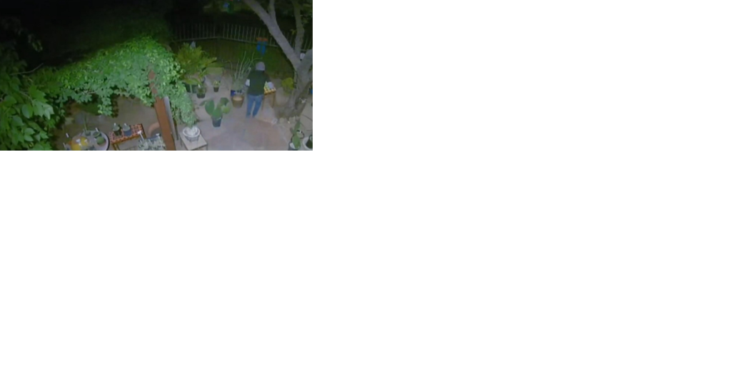 Cactus nursey suffers $10K in damages after burglarized 8 times - Vimarsana News
