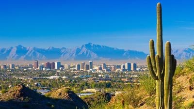 Phoenix skyline and cactus