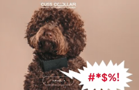Dog bark clearance swear collar