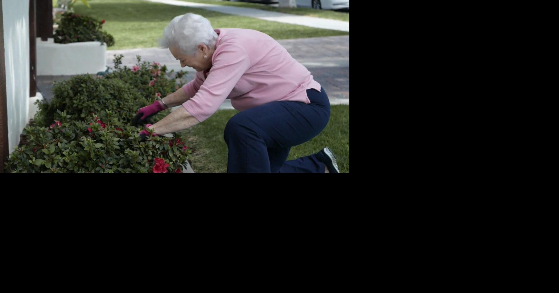 U of A researchers to test transplant drug for healthy aging