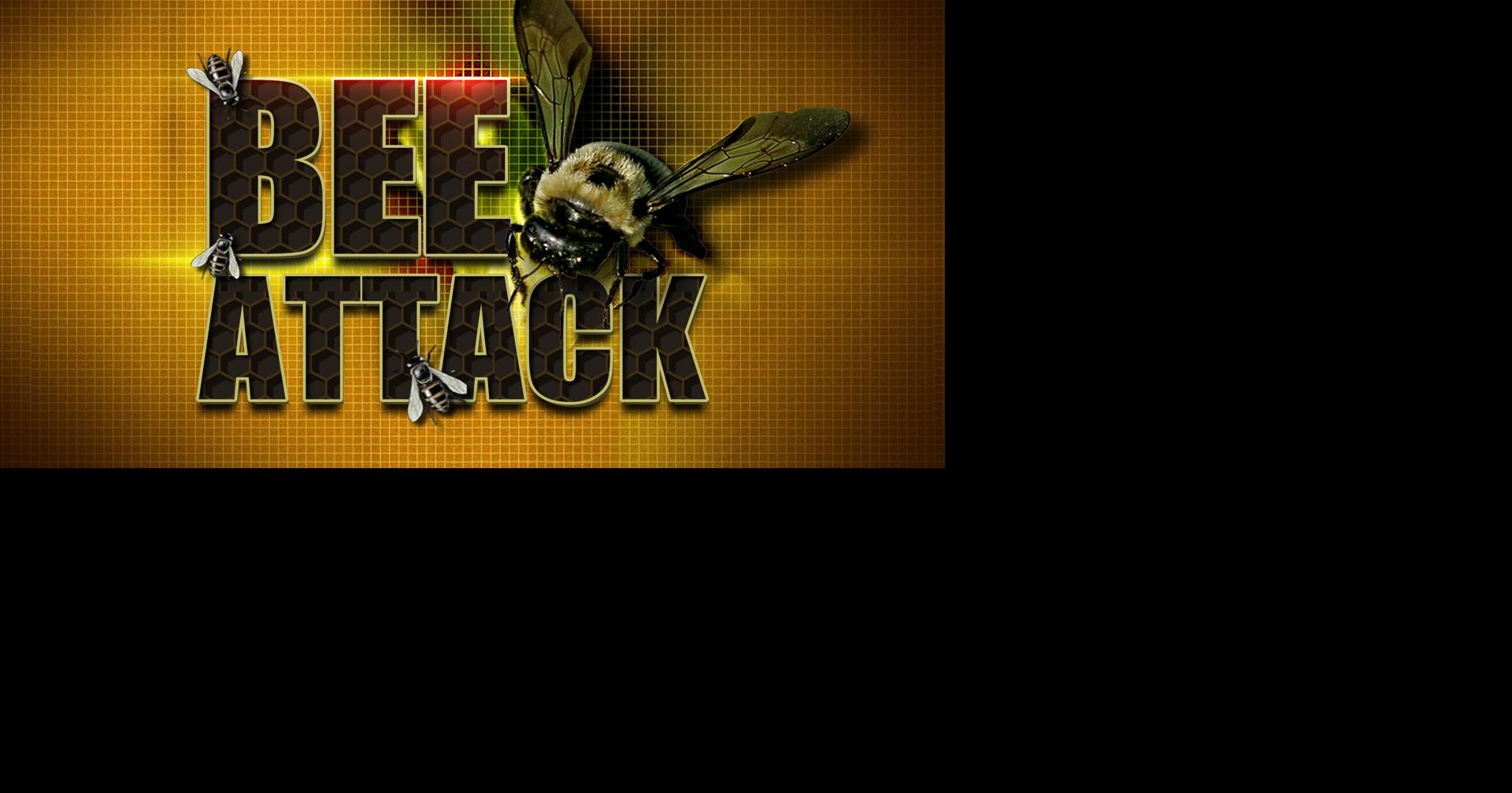 Bee swarm in Green Valley sends one to hospital in serious condition