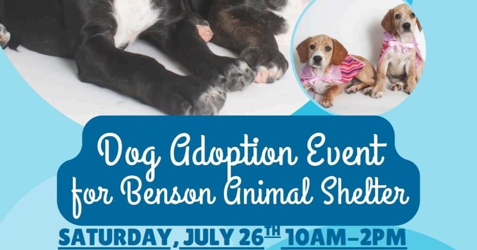 Benson Animal Shelter seeks homes for pets after temporary closure | Cochise County