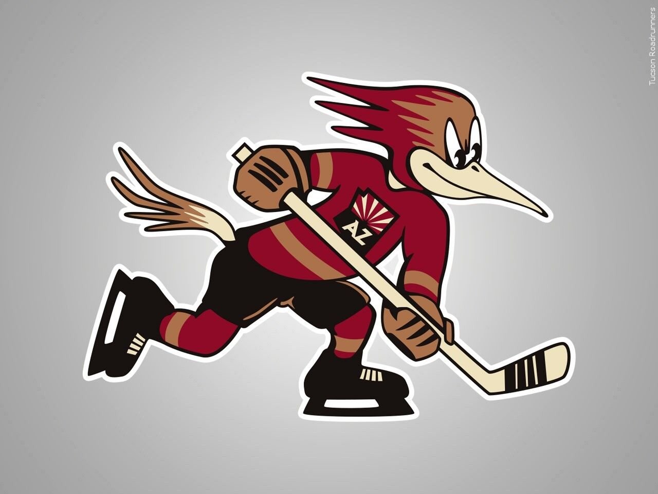 Tucson Roadrunners Staying In Tucson, Will Play At Least 30 Games At ...