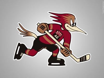 Tucson Roadrunners announce all 36 home games to be played in Tucson ...