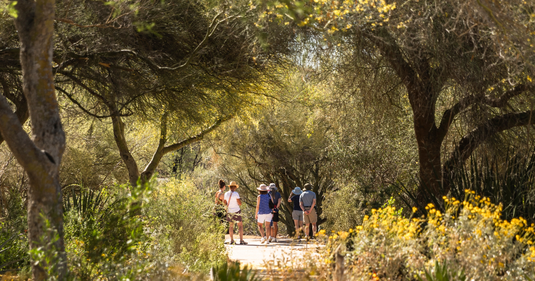 Tucson's Tohono Chul shares big plans for its future