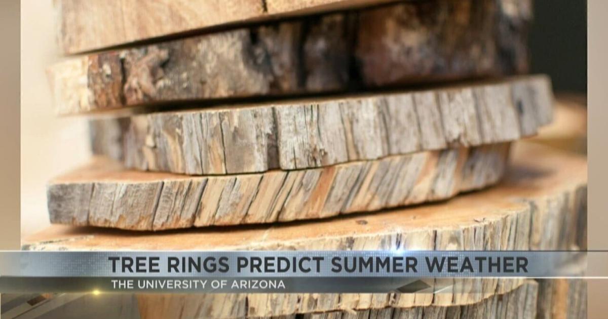 University of Arizona study links tree rings to climate extremes