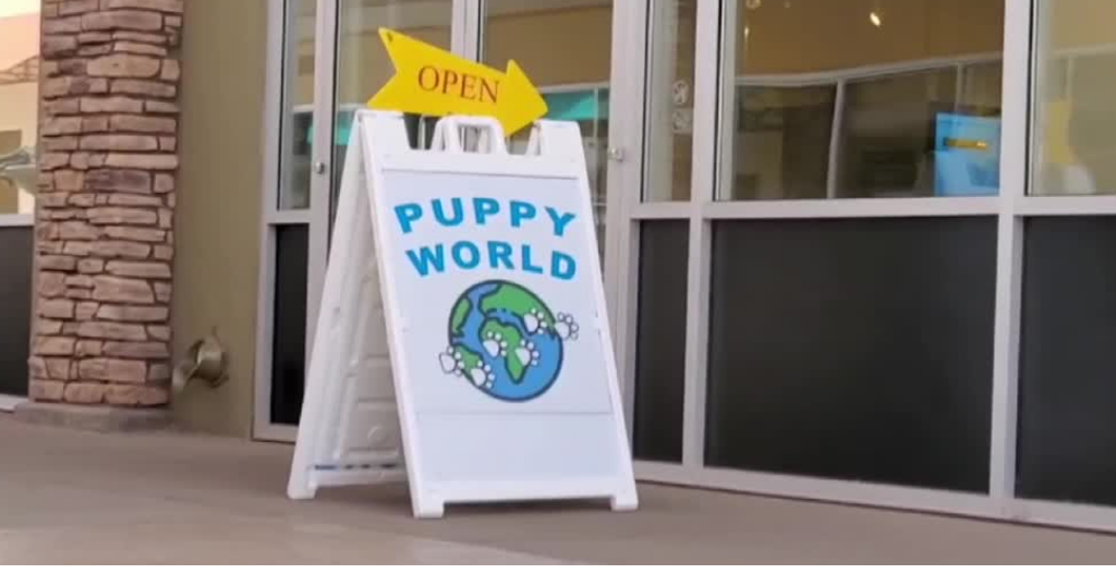 Puppy world store pet shop