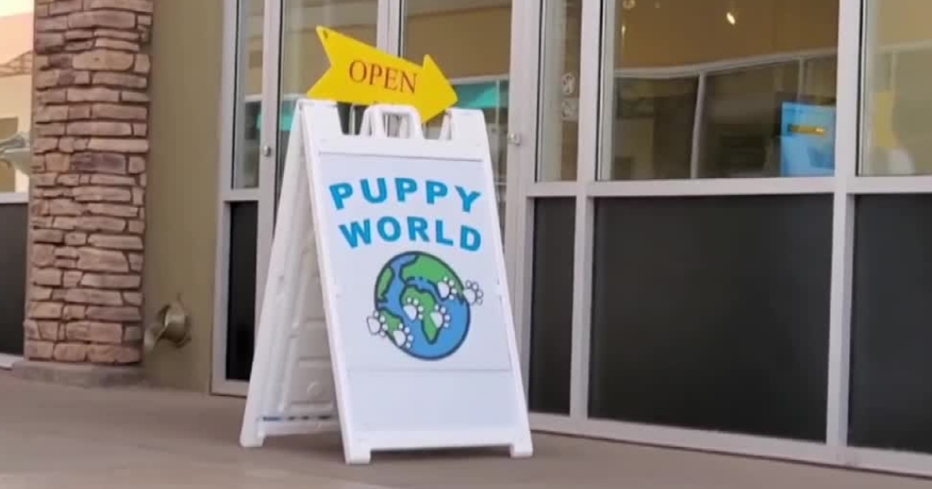Puppy world deals