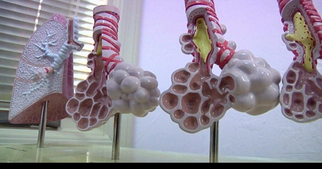 Tucson Living Fall allergies News