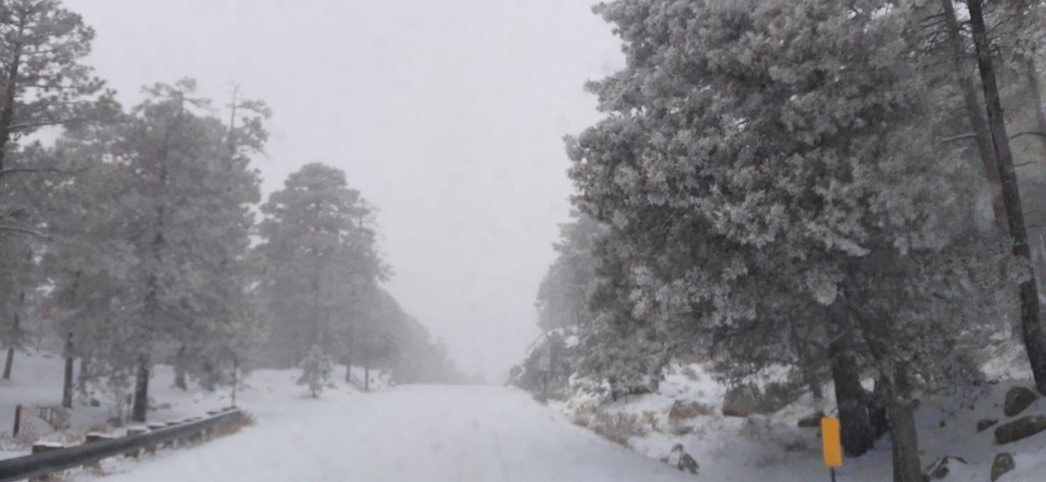 Road to Mt. Lemmon is closed Arizona News