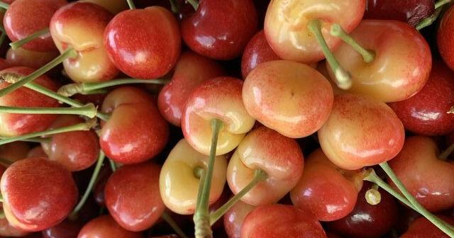 Cherry picking season to start Memorial Day at Apple Annie's Orchard - Vimarsana News