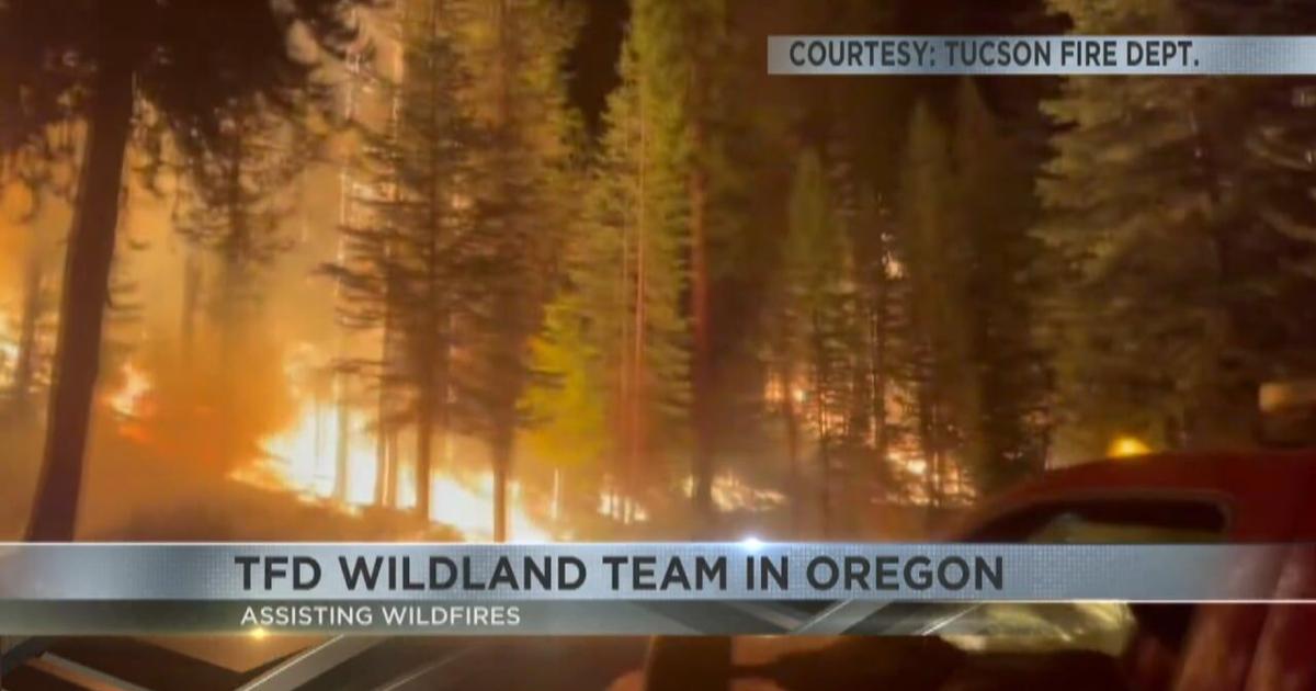 TFD Wildland Team in Oregon assisting firefighters