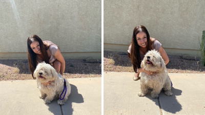Dog reunited with owner after 6 years thanks to microchip | Military ...