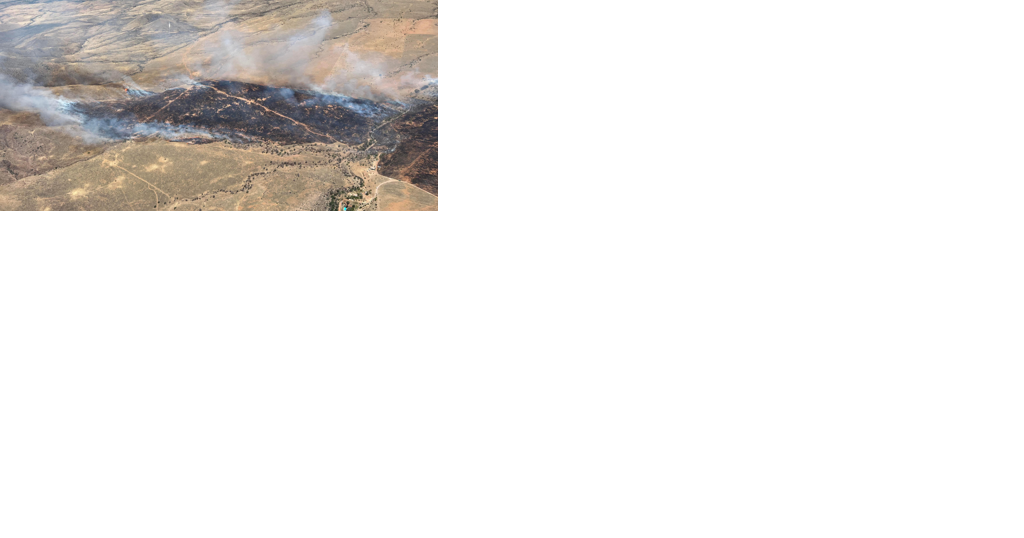 Elgin Bridge Fire is now 15 percent contained - Vimarsana News