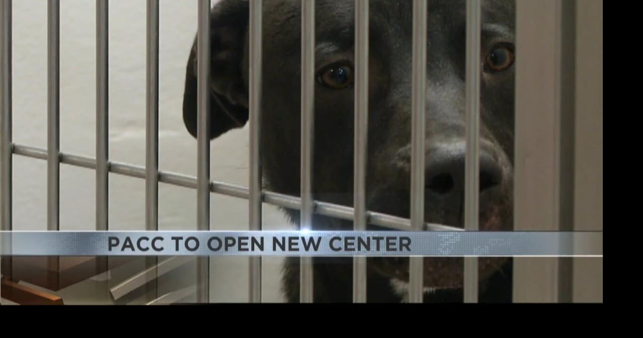 PACC to open a new center | Video | kvoa.com