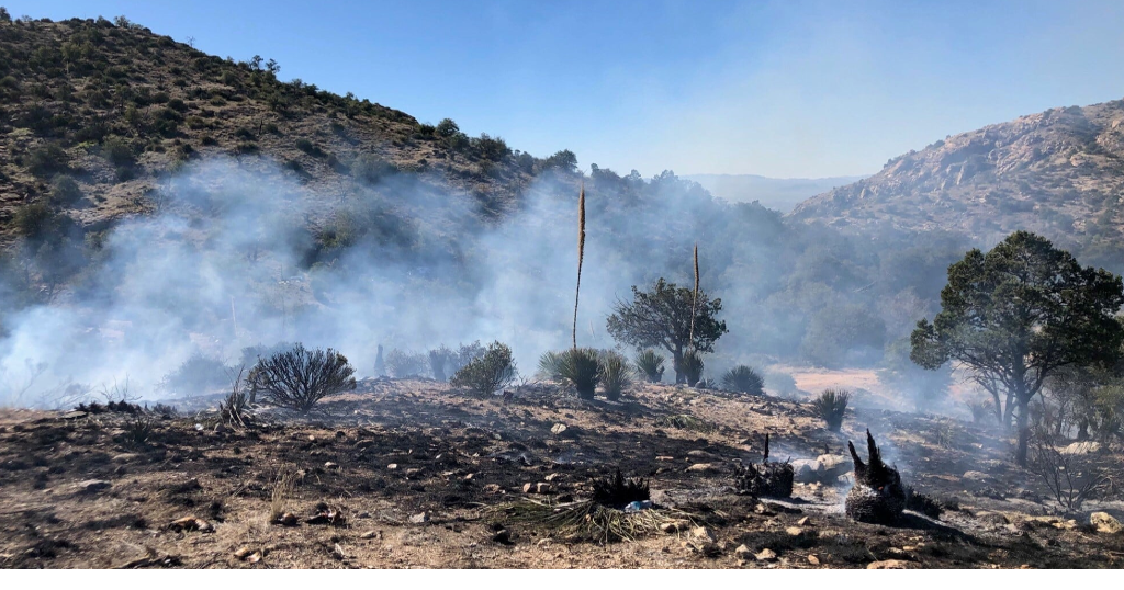 Humancaused fire on Mount Lemmon under investigation Local
