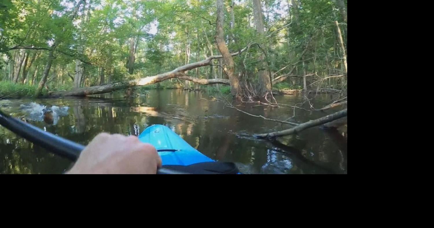 Close Call Kayaker Survives Alligator Attack National News