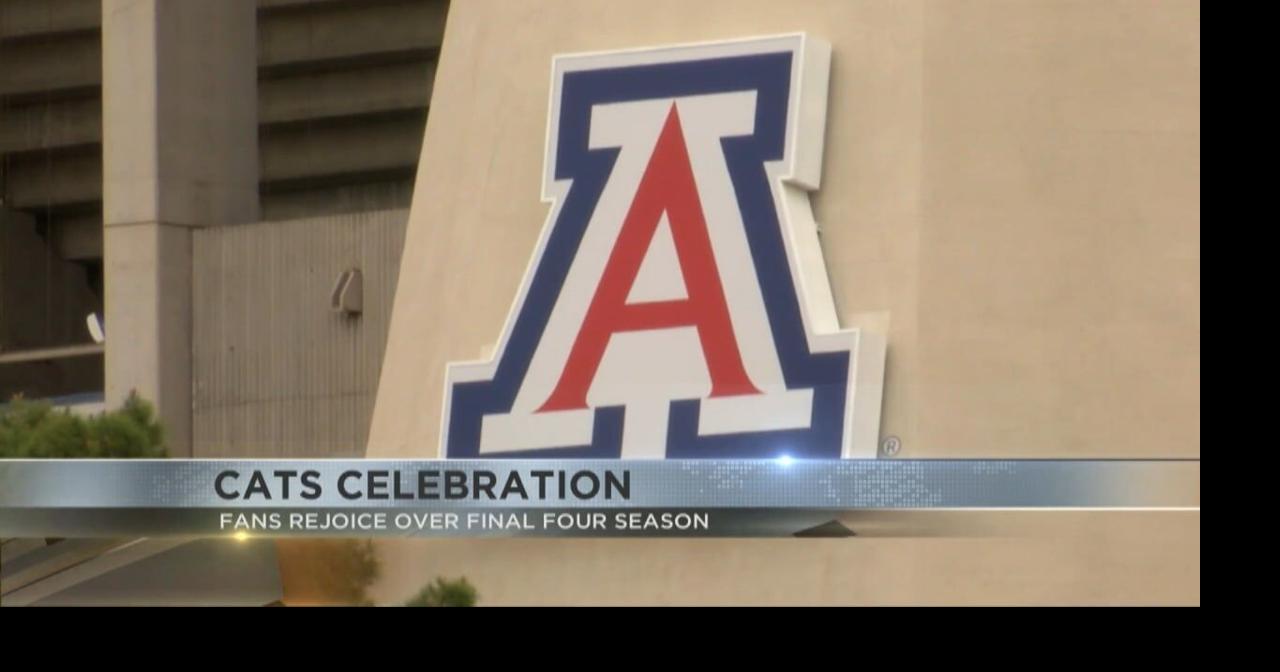 Wildcats fans celebrate Arizona Men's Basketball Final Four season