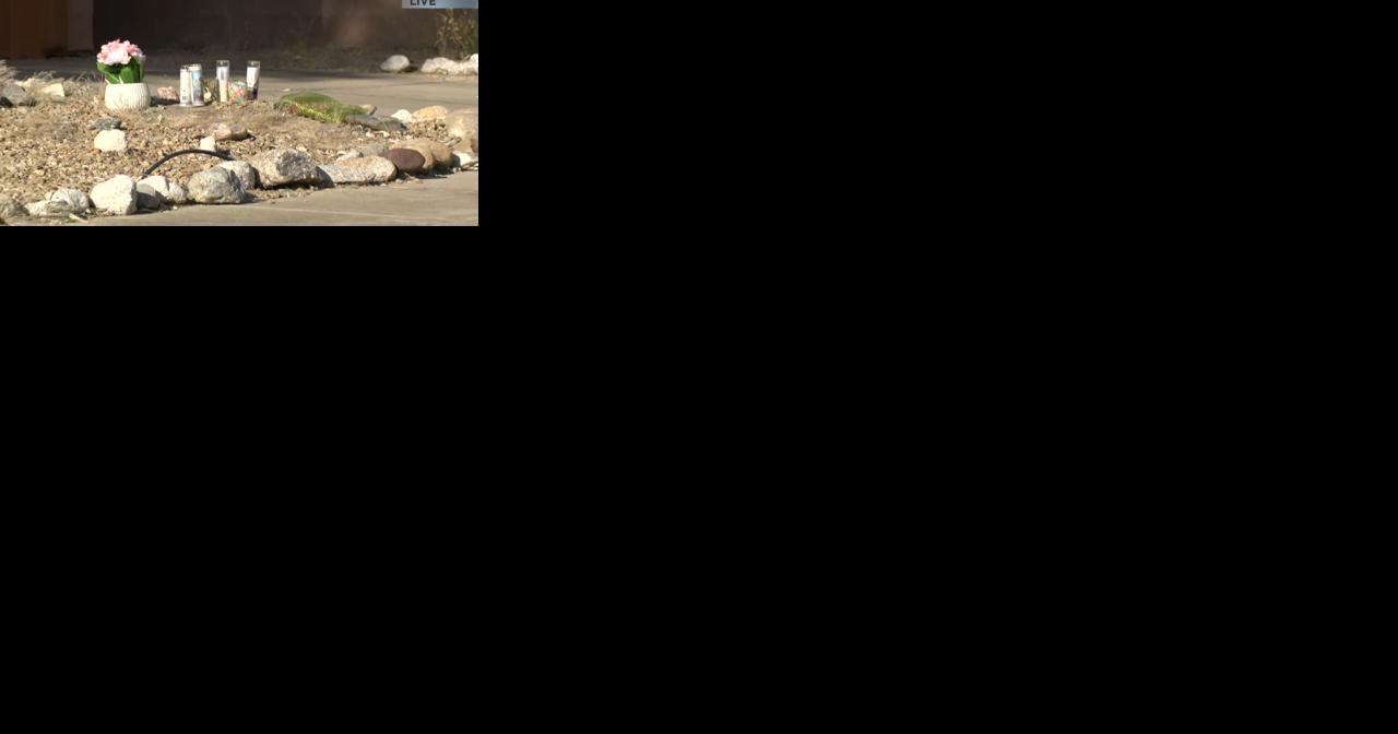 TPD investigating how gun got into hands of 15-year-old who used it to kill his mother - Vimarsana News