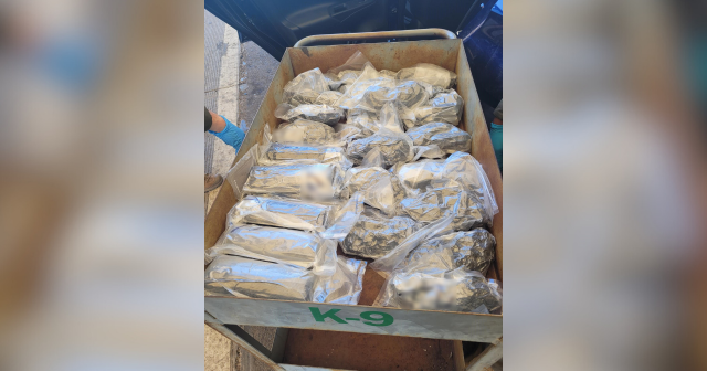 Border Officials Seize Multi-Million Meth, Cocaine Shipments Across US-Mexico, Thailand Borders