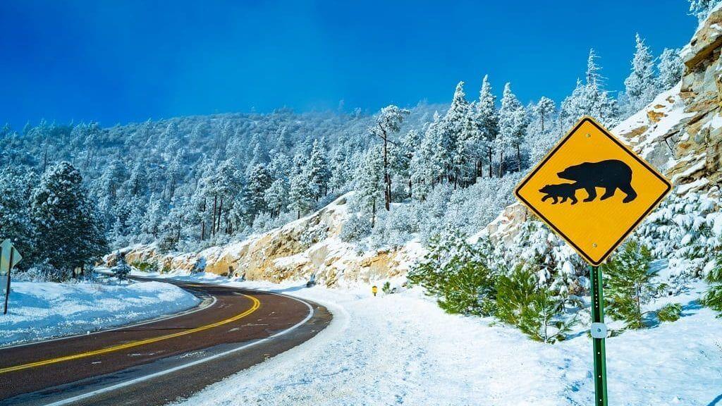 Officials Road To To Summit Of Mount Lemmon Closed Due To Icy Conditions Archive Kvoa Com