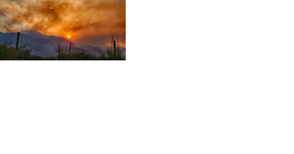 Fire officials reflect on Bighorn Fire as Pima County heads into fire season - Vimarsana News