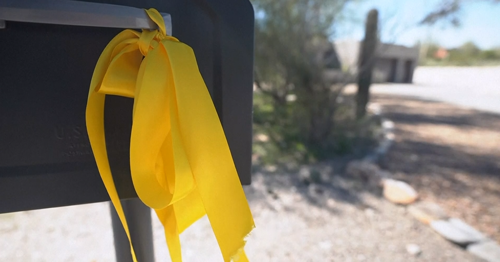 Day 100 of Nancy Guthrie case: Foothills neighbors remain hopeful