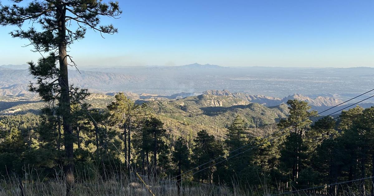 Forward progress stopped on Sycamore Fire