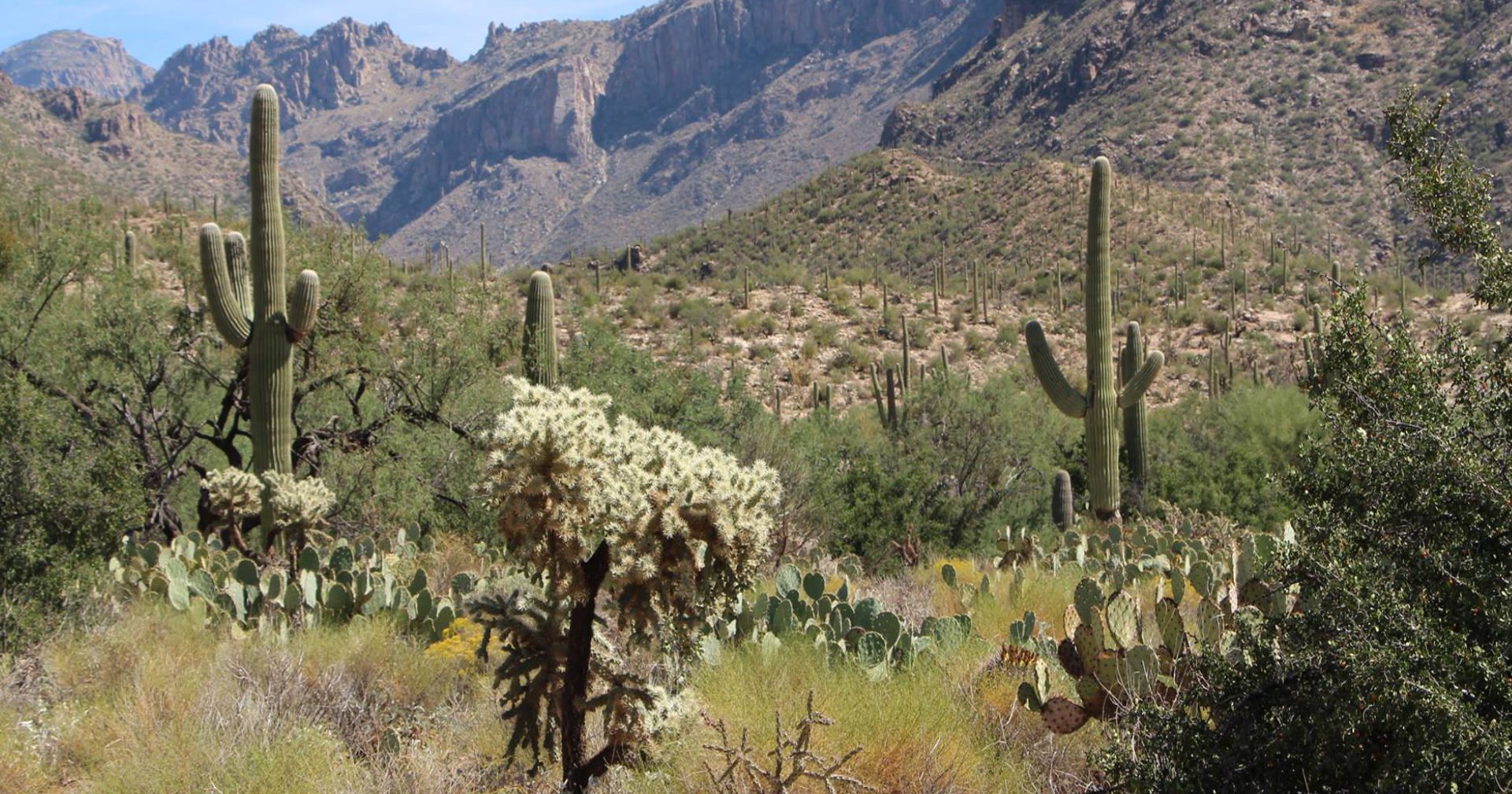 Hittin' the Trails 4 You: Linda Vista Trailhead - Vimarsana News