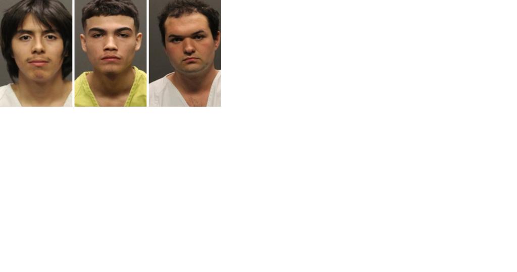 Three teens jailed in connection with the death of a 17-year-old girl - Vimarsana News